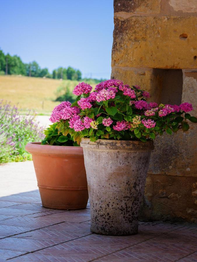 Le Nid De Faucons Villa Lalinde Eksteriør bilde